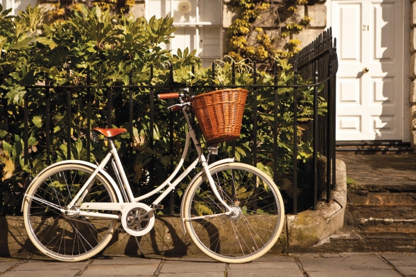 Pashley Britannia: Preis ab